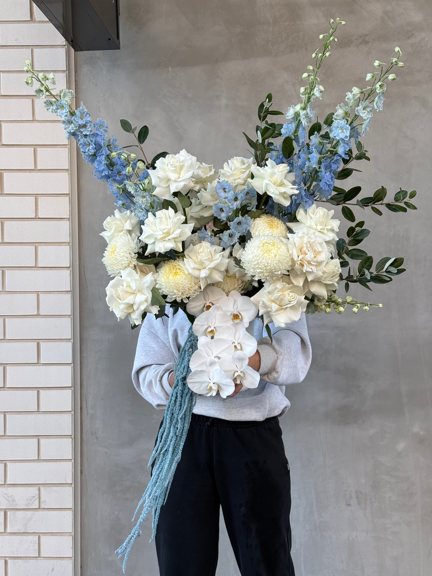 arctic bloom