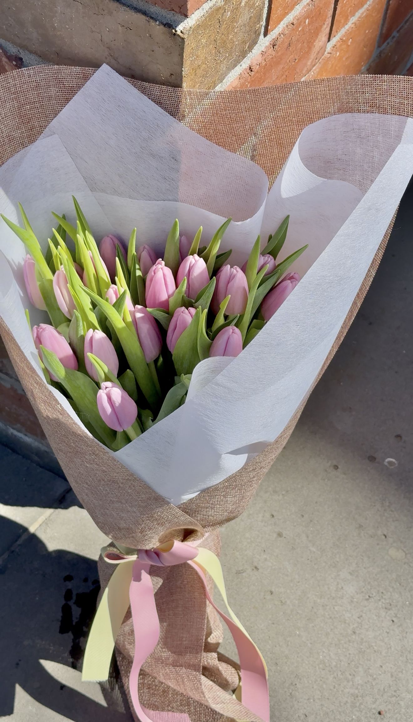 tulip lucky dip
