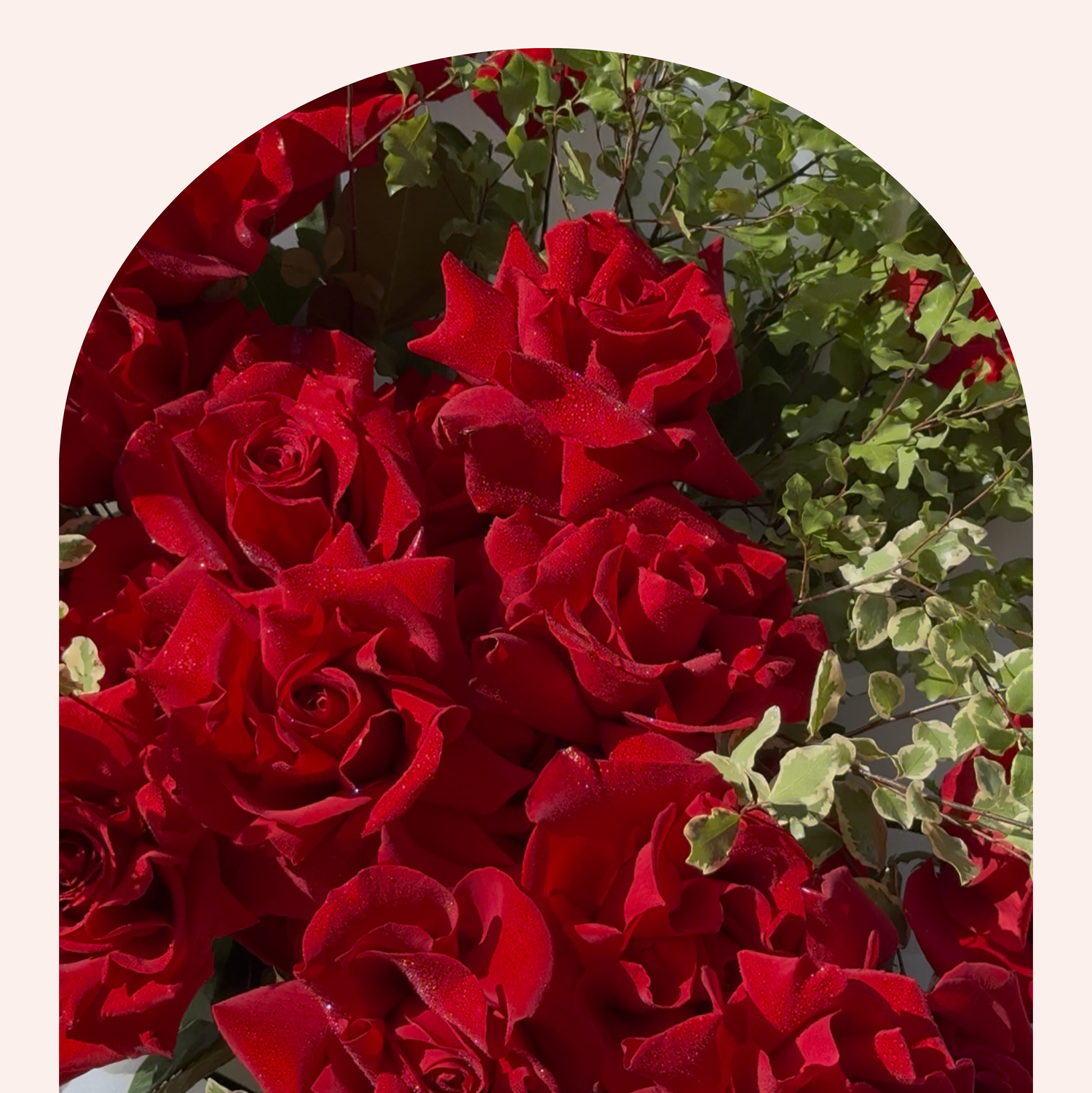 Valentines Day Collection