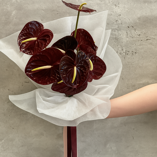 En Masse Anthuriums Lucky Dip – 5 Stems