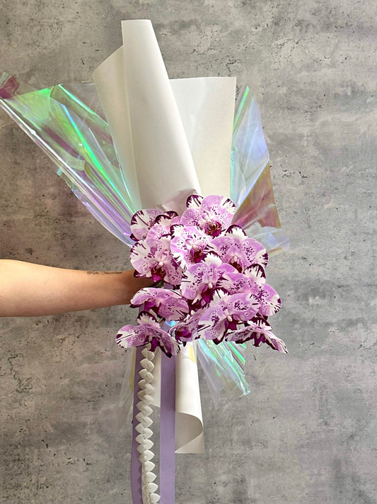 Orchid